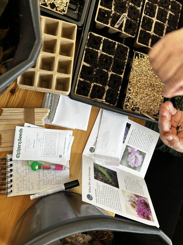 Grow Your Own Cut Flower Garden ( 2 Day Course) | Bathing Beauty